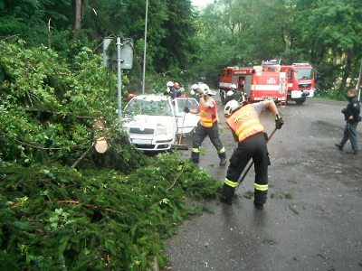 Silný vítr vyvracel stromy a přerušoval elektrické vedení