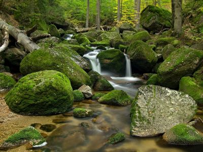 Fotosoutěž Zaostřeno na Jizerky měla značný úspěch