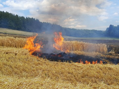Hasiči likvidovali požár na poli ve Studenci