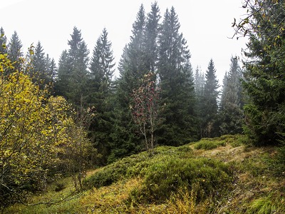 Verdikt soudu: I neživá příroda Krkonoš si zaslouží svou ochranu