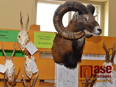 FOTO: Chovatelská přehlídka trofejí zhodnotila kvalitu místní zvěře