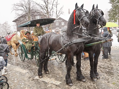 Krakonoš tradičně přivítá v Harrachově jaro