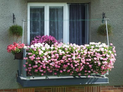 Celkem šest rodin si odneslo ceny v soutěži Rozkvetlý Turnov 2012 