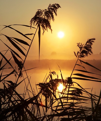 Galerie u Zlatého beránka nabídne od 11. května novou výstavu