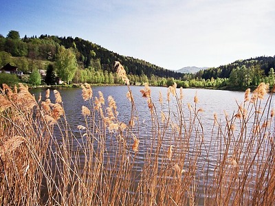 Ráj v Pekle, to je rybník Petr v klidném zákoutí Jizerských hor