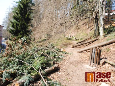 Vyhlídka a nové prvky mají vrátit Palackého sadům zašlý lesk