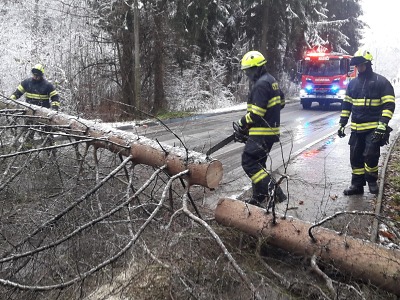 Kvůli sněžení hasiči odstraňují spadané stromy