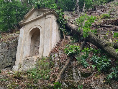 Pod hradem Bezděz spadl strom na turistickou cestu