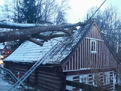 V Peřimově na Jilemnicku spadly stromy na chalupu