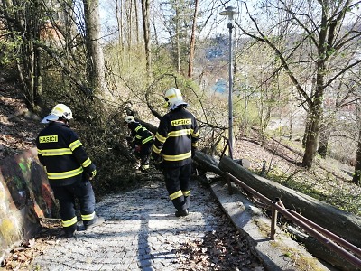 Krajští hasiči zasahovali po silném větru u vyvrácených stromů
