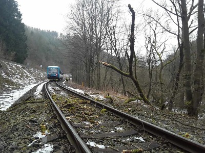 Mezi Spálovem a Železným Brodem najel vlak do spadlého stromu