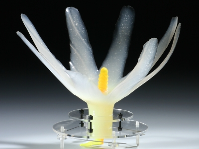 Turnovské muzeum prezentuje průřez současným českým šperkem