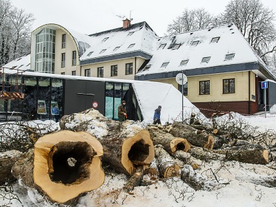 Správa KRNAP provádí havarijní kácení v zámeckém parku ve Vrchlabí