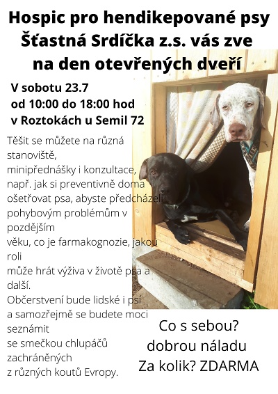 Do Roztok u Semil se přestěhoval zajímavý psí útulek