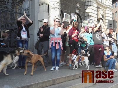 V Liberci lidé demonstrovali pro tvrdší tresty za týrání zvířat