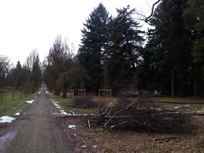 Revitalizace parků na Sychrově a Grabštejně probíhaly díky počasí rychle