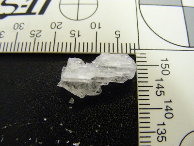 Policejní Toxi tým zadržel dealera drog přímo na lomnickém náměstí