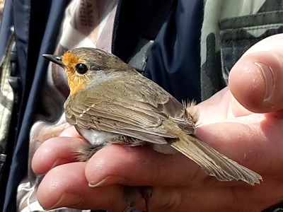 Zhodnocení akce Den Země 2016 v Turnově