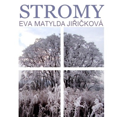 Infocentrum Turnov nabízí knižní novinku Stromy