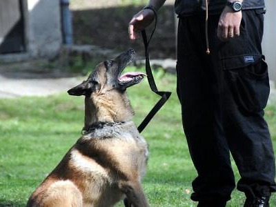 Pes Dar absolvoval svoji poslední službu u Městské policie Turnov