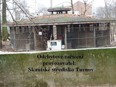 Turnovský psinec hledá dobrovolníky