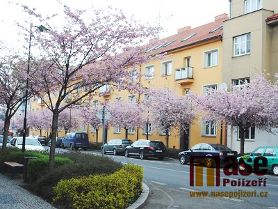 Obrazem: Vykvetlá Nádražní ulice v Turnově