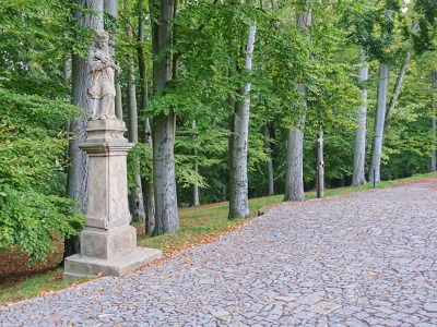 V Rývových sadech v Turnově se začne kácet