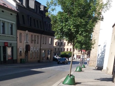 V Turnově pořídili zavlažovací vaky ke stromům