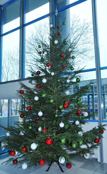 Soutěžte na facebooku Libereckého kraje o nejhezčí vánoční stromeček 