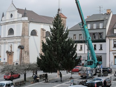 Turnovský vánoční strom je už na svém místě