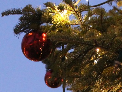 Vysloužilé vánoční stromky se v Turnově sbírají na osmi místech