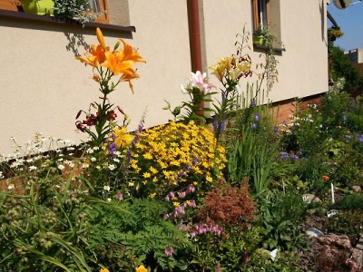 O nejlepší květinovou výzdobu soutěží v Turnově už pojedenácté