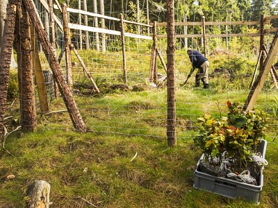 S pomocí FlexiLogu budou krkonošské lesy stabilnější