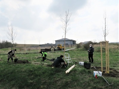 Grant Stromy: Žádost pro jaro 2022 lze podat během února