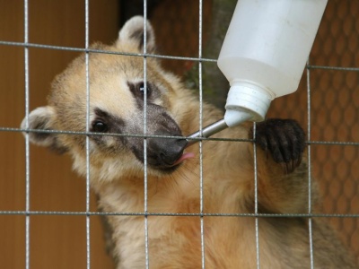 FOTO: Jilemničtí chovatelé pořádali jubilejní výstavu drobného zvířectva