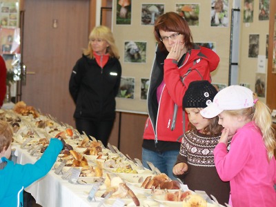 Lomnický mykologický klub zve na houbařskou výstavu