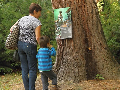 Stromy ve vrchlabském parku hostily výstavu Poznej své boty