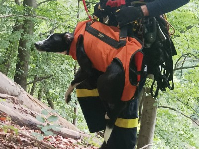 Hasiči zachránili psa ze skály v Turnově - Bukovině