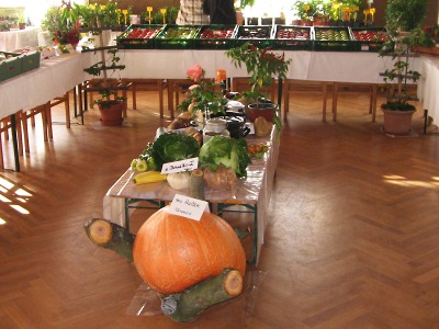 Zahrádkáři v Tatobitech vystaví své produkty