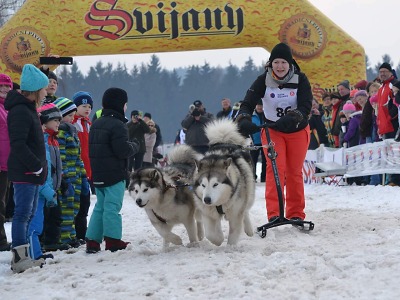 V Zásadě se opět pojede závod psích spřežení