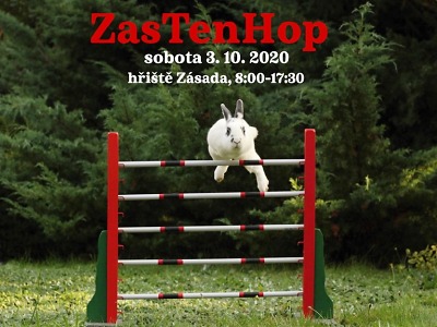 Králíci přijedou do Zásady na ZasTenHop