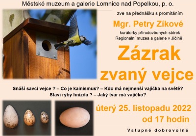 Zázrak zvaný vejce rozebere Petra Zíková