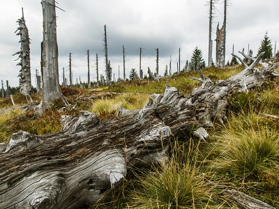 Národní plán obnovy zásadně posílil péči o Krkonošský národní park