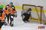 Utkání LHL - Okresního hokejového přeboru HC Jilemnice - HK Libštát.