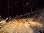 Sníh lámal na Semilsku stromy: Neprůjezdné silnice i výpadky elektřiny