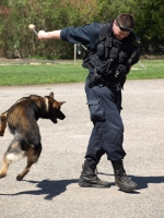 Základní kolo závodu vlčat a světlušek v Semilech