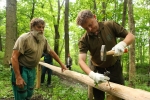 Pracovníci Správy KRNAP instalovali zábrany na okraj lesa v Bolkově