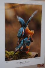 Vernisáž výstavy v Pojizerské galerii pod názvem Semilský fotoklub: Pět zlatých sezón. Fotografie Richarda Stehlíka