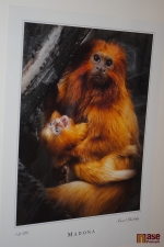 Vernisáž výstavy v Pojizerské galerii pod názvem Semilský fotoklub: Pět zlatých sezón. Fotografie Karla Skalského