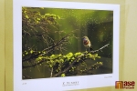 Vernisáž výstavy v Pojizerské galerii pod názvem Semilský fotoklub: Pět zlatých sezón. Fotografie Richarda Stehlíka